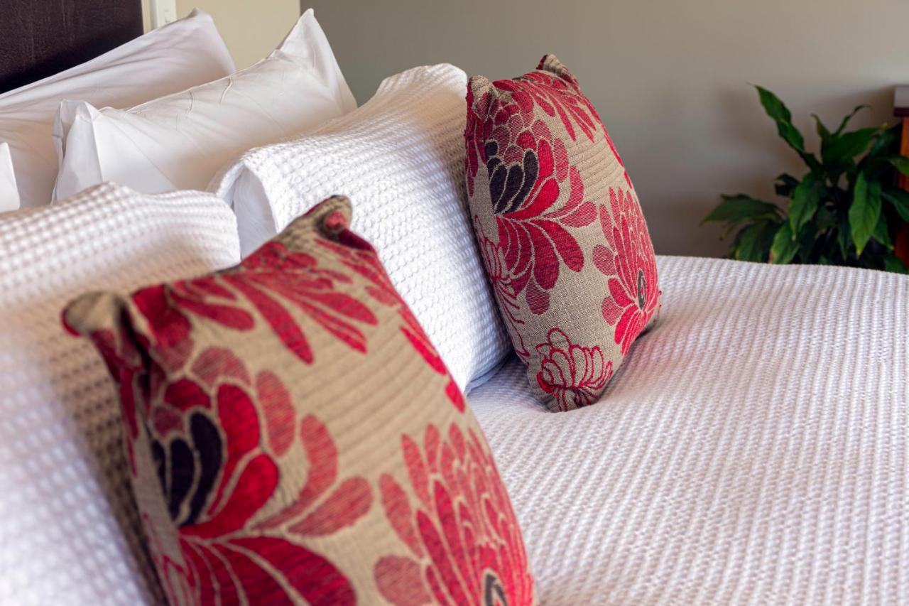 Ribbonwood Country House Cheviot Ngoại thất bức ảnh